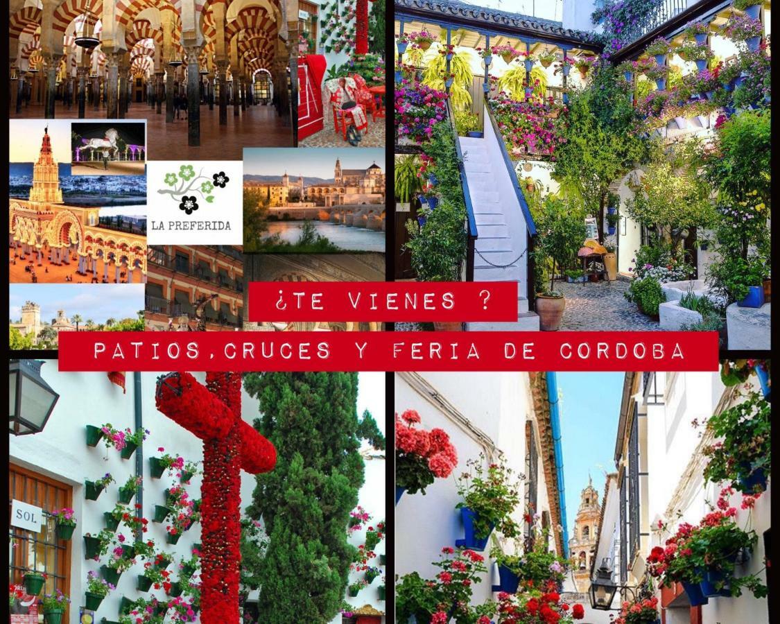 Centro Histórico Mezquita Judería La Preferida Apartamento Córdova Exterior foto